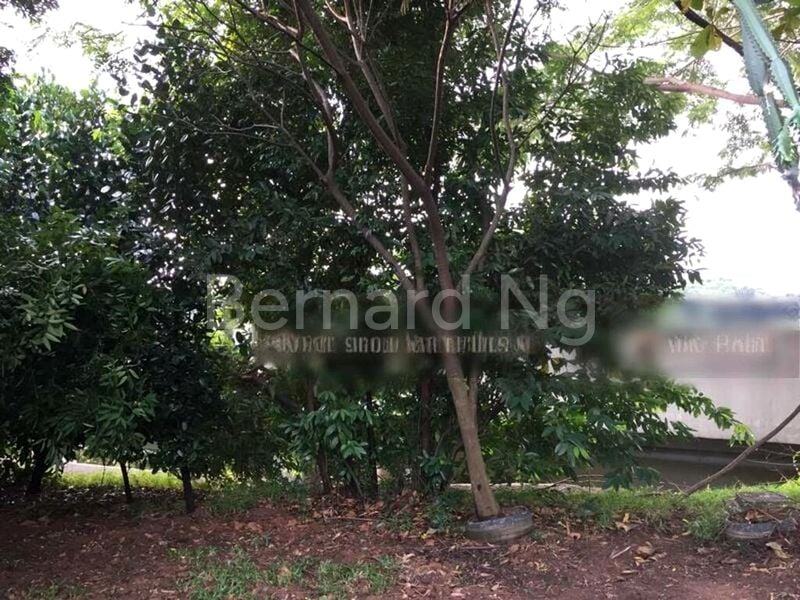 5 Bed Semi-Detached House (Landed) for Sale in  Fernvale Lodge - Image 4